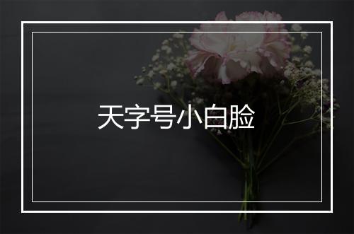 天字号小白脸