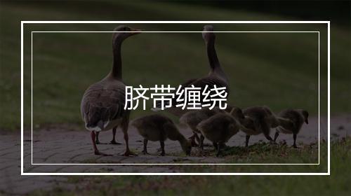 脐带缠绕