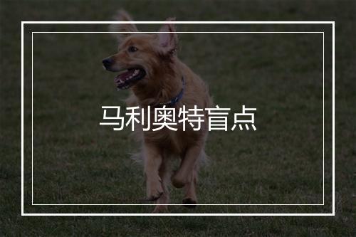 马利奥特盲点