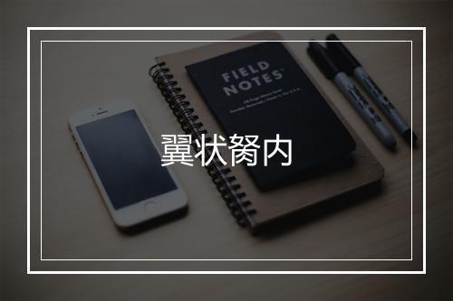 翼状胬内