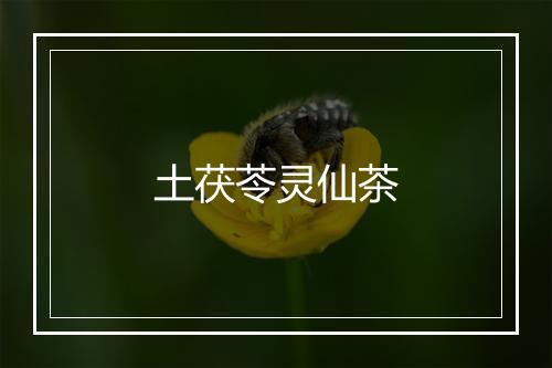 土茯苓灵仙茶