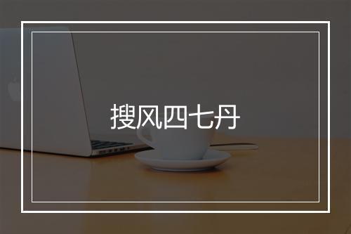 搜风四七丹