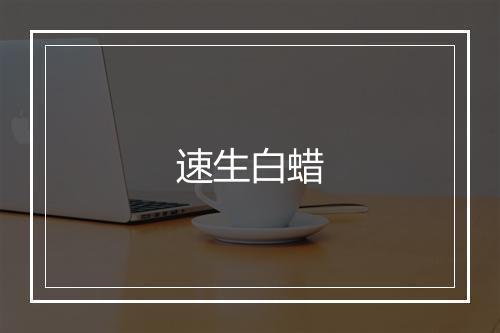 速生白蜡