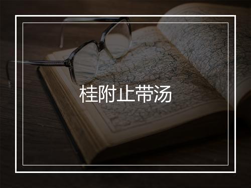 桂附止带汤