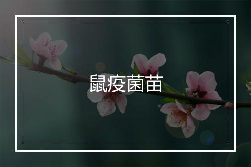 鼠疫菌苗