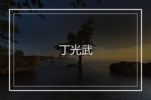 丁光武