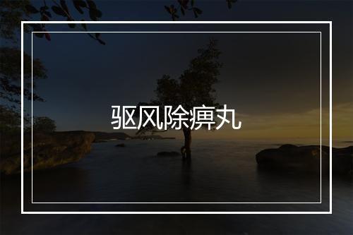 驱风除痹丸