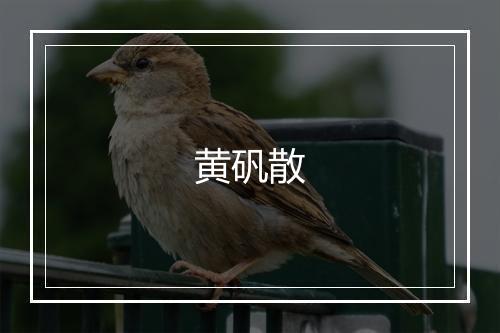 黄矾散