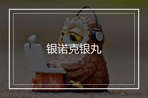 银诺克银丸