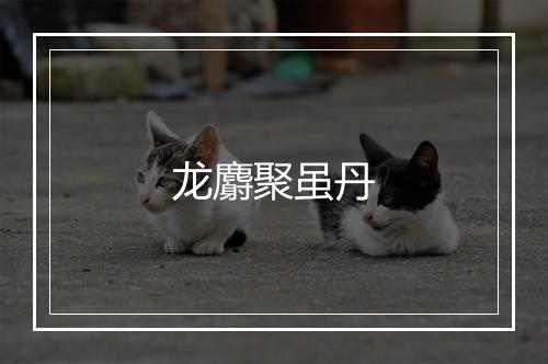 龙麝聚虽丹