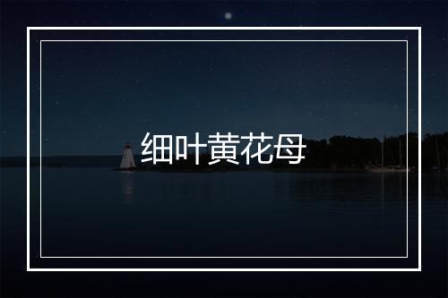 细叶黄花母