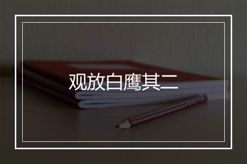 观放白鹰其二