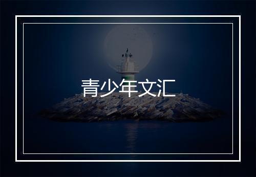 青少年文汇