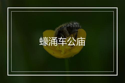 蠔涌车公庙