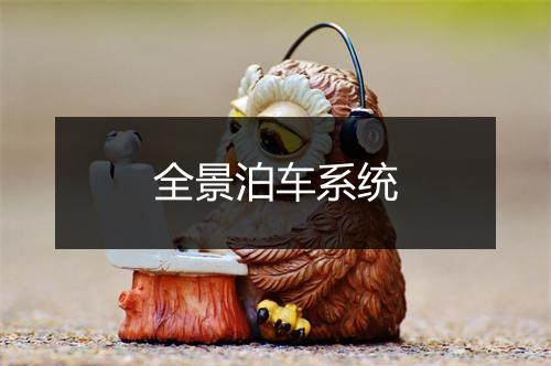 全景泊车系统