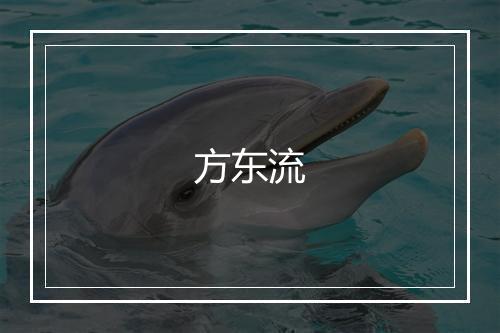 方东流