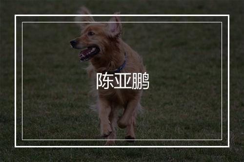 陈亚鹏