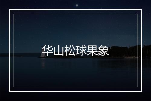 华山松球果象