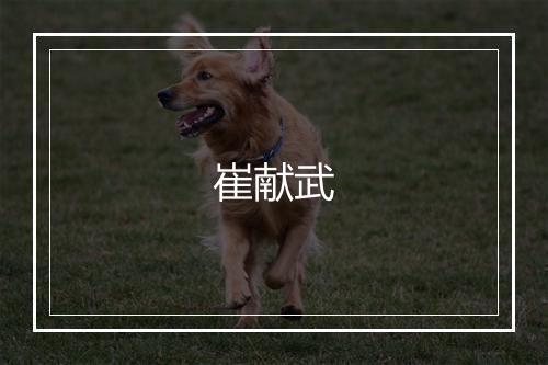 崔献武