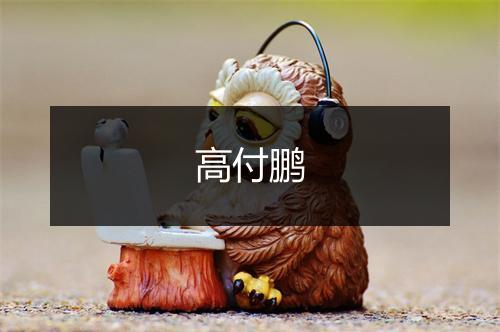 高付鹏