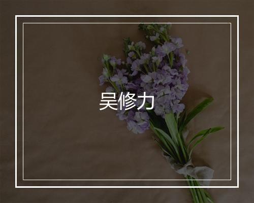 吴修力