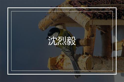 沈烈毅