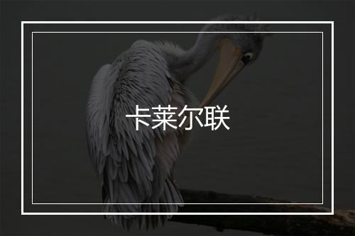 卡莱尔联