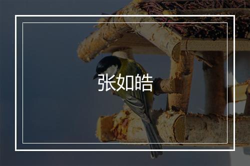 张如皓