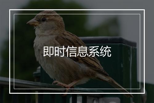 即时信息系统