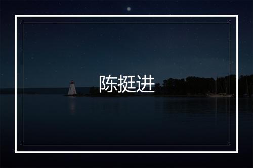 陈挺进