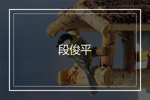 段俊平