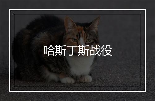 哈斯丁斯战役