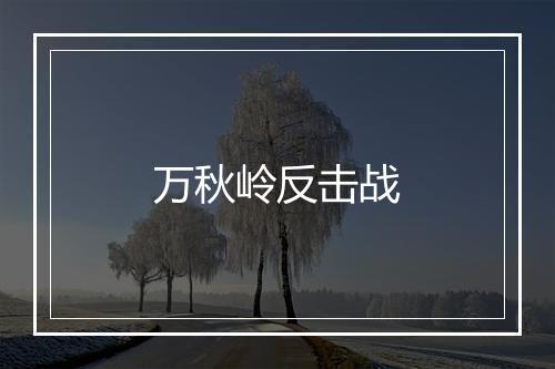 万秋岭反击战