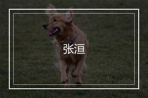 张洹