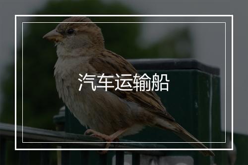 汽车运输船