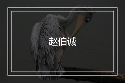 赵伯诚