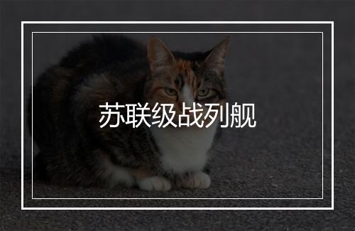 苏联级战列舰