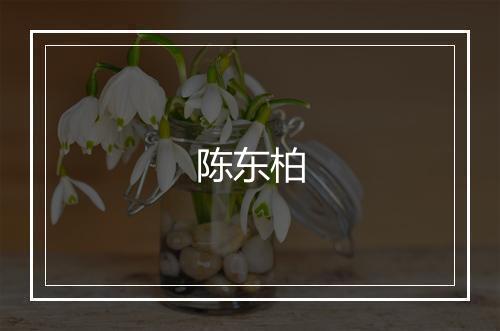 陈东柏