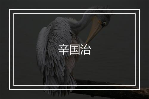 辛国治