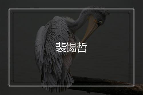 裴锡哲