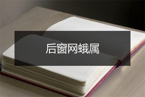 后窗网蛾属