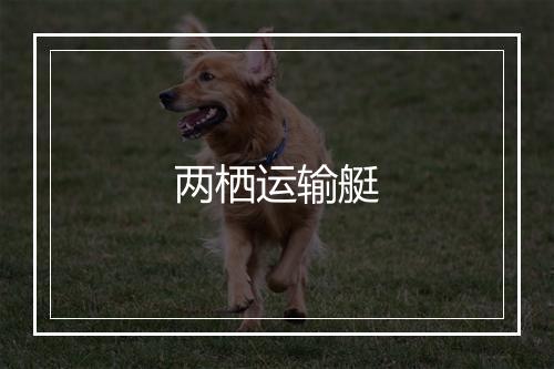 两栖运输艇