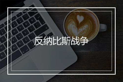 反纳比斯战争