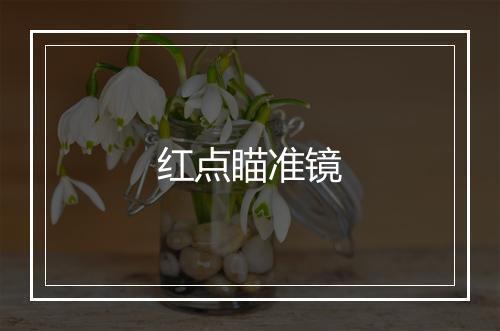 红点瞄准镜