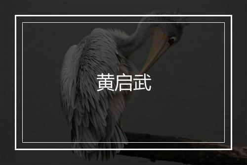 黄启武