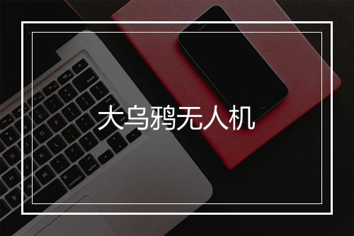 大乌鸦无人机