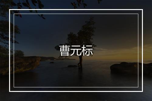 曹元标