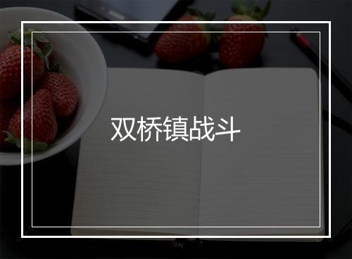 双桥镇战斗