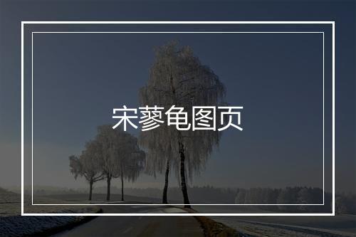 宋蓼龟图页