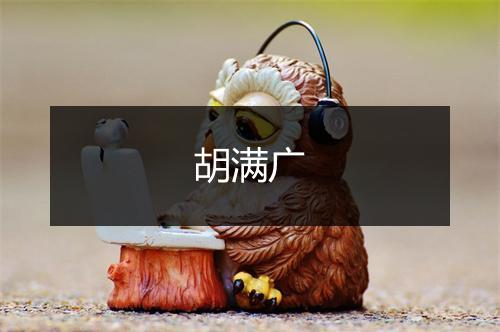 胡满广